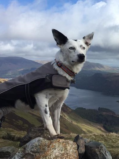 Ufo conquers the Lake District